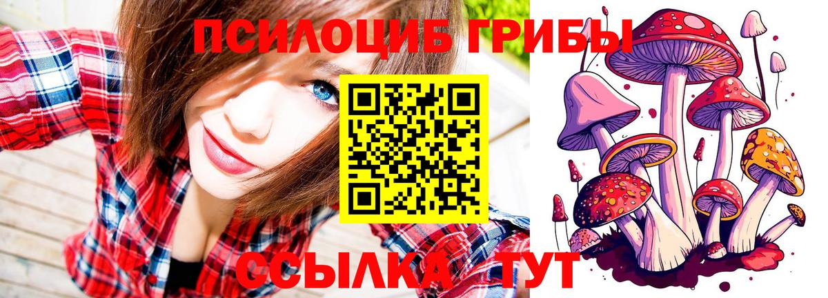 Псилоцибиновые грибы мицелий  Вход с VPN  Сочи 