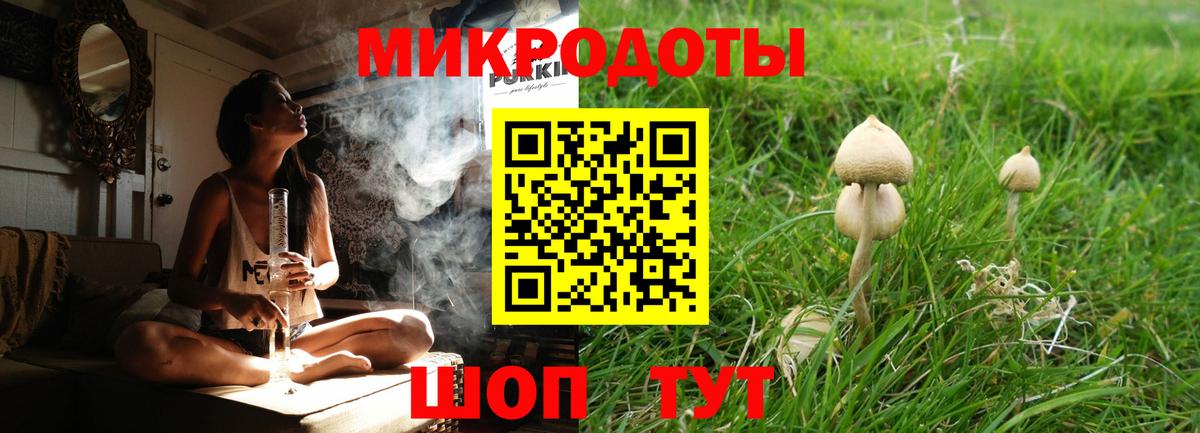 Галлюциногенные грибы Psilocybe Сочи